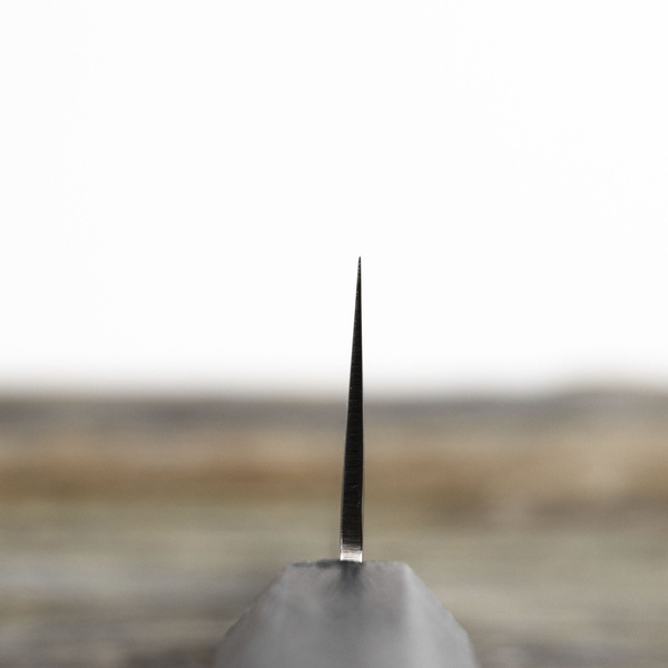 Sakai Takayuki Nanairo VG-10 Green Nóż Szefa kuchni 21 cm