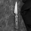Tsunehisa VG-10 Blank Nóż do obierania 8 cm