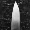 Sakai Takayuki AUS-8 Nóż Ajikiri 12 cm