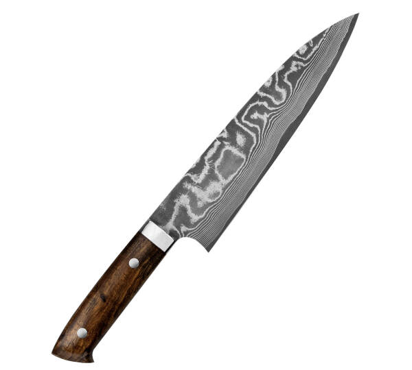 Takeshi IW nóż Szefa 21cm VG-10